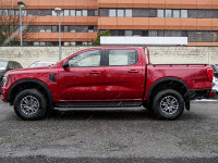 Ford Ranger Doppelkabine XLT NEUES MODELL - Nutzfahrzeug - Rot - Neuwagen - Bild 15